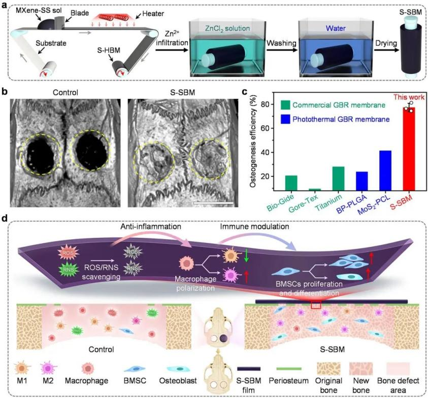 New Breakthrough in Material Science by Xuliang Deng’s Team  Published in Nature