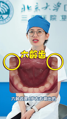 什么是六齡齒？
